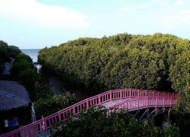 Jembatan Pink Merupakan Salah Satu Ikon Kawasan Wisata Hutan Mangrove via google maps @katamso katamso