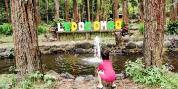 Ledok ombo Poncokusumo