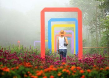 Pudang Mas Sikopyah Serang Purbalingga