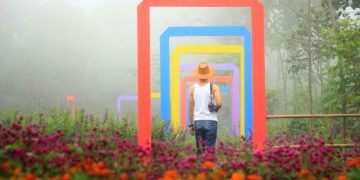 Pudang Mas Sikopyah Serang Purbalingga