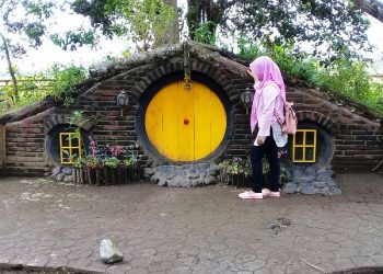Wisata Rabbit Park blitar