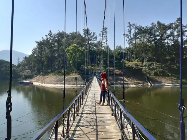 Wisatawan bisa berjalan di atas jembatan gantung via Google Maps @Tyas Dwitasari