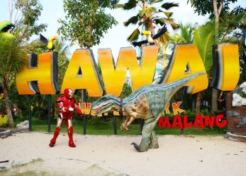 10+ Wahana Seru di Hawai Water Park: Harga Tiket, Fasilitas, Daya Tarik