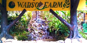 Warso Farm Bogor: Harga Durian, Tiket Masuk, Fasilitas, Wahana Dll