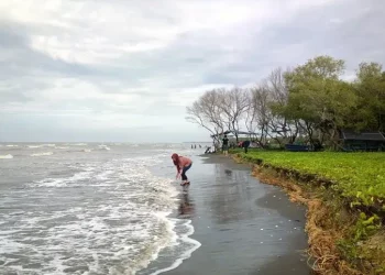 Pantai Marunda via Instagram.com @bekasi.update