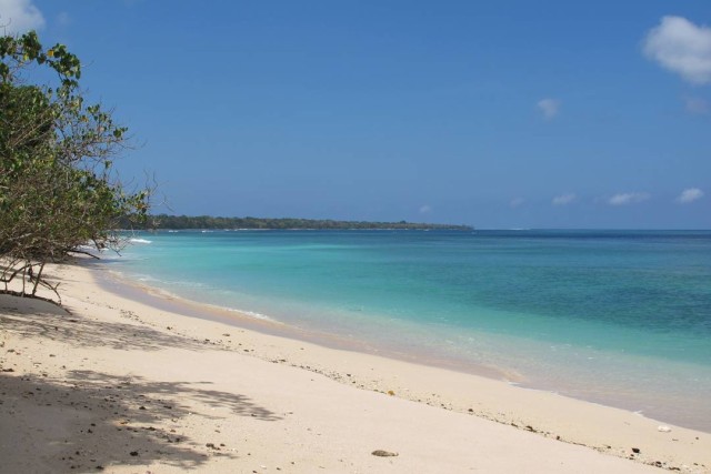 Pantai Triangulasi masih berada di kawasan Taman Nasional Alas Purwo, dan populer dengan air lautnya yang biru jernih.