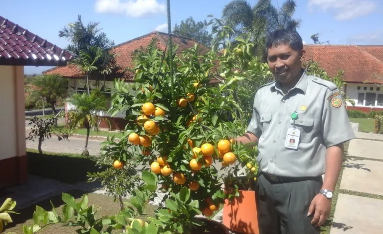 Kepala Balitjestro, Muhammad Taufiq Ratule menunjukkan contoh tanaman jeruk di depan kantor Balitjestro.