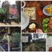 Natural Resto & Strawberry Land via Tripadvisor
