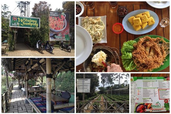 Natural Resto & Strawberry Land via Tripadvisor - Cafe di Lembang