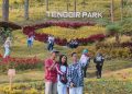 Hamparan Taman Bunga Nan Indah