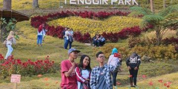 Hamparan Taman Bunga Nan Indah