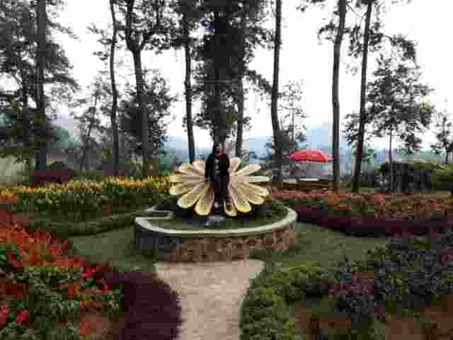 Taman Bunga Tenggir Park via Google Maps @Nia Khara