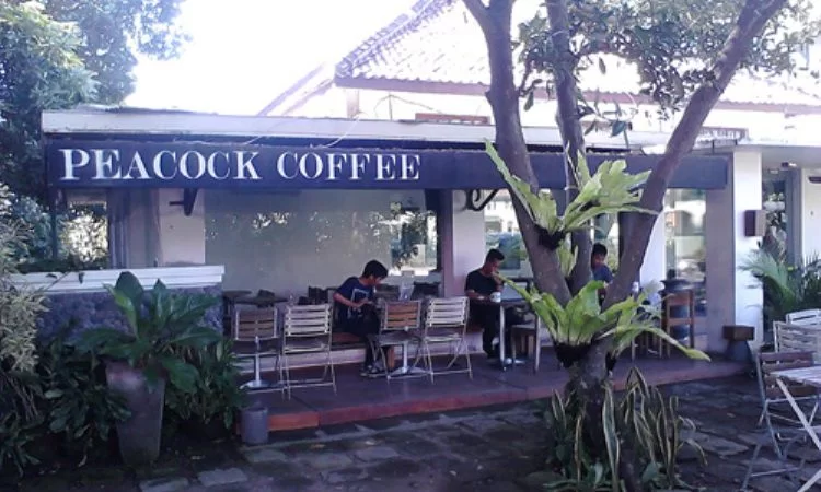Peacock Coffee Shop 