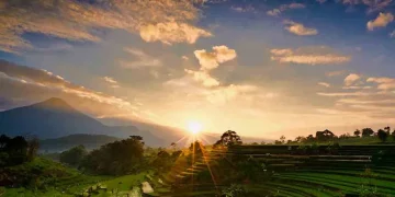 Selotapak Camp via Beritajatim