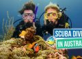 GREAT BARRIER REEF, AUSTRALIA via Youtube Flying The Nest