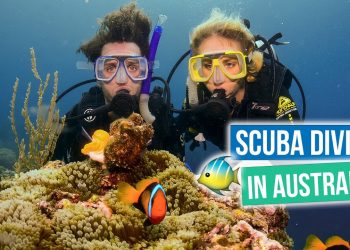 GREAT BARRIER REEF, AUSTRALIA via Youtube Flying The Nest