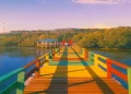 Hutan Mangrove Donggala via Instagram.com @andis87
