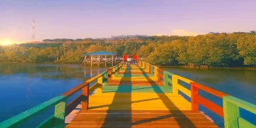 Hutan Mangrove Donggala via Instagram.com @andis87