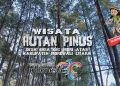 Hutan Pinus Tepotowoa via Youtube
