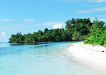 Pantai Pasir Putih Palam