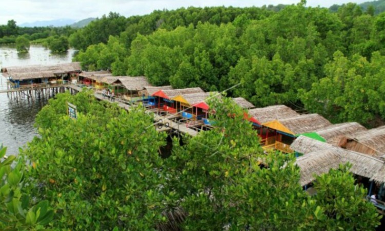 Wisata Mangrove Bebanga via Lendakhatulistiwa