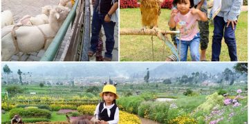 Happyfarm Ciwidey via Instagram.com @ananda_yuniarto16, @rikanggana