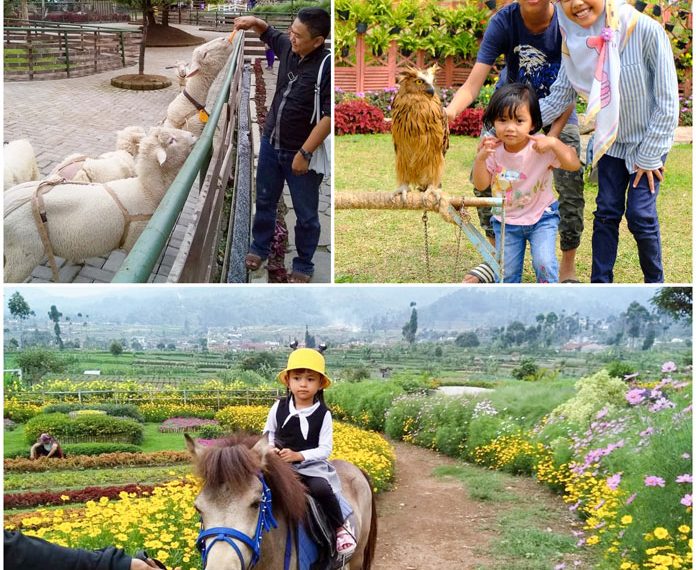 Happyfarm Ciwidey via Instagram.com @ananda_yuniarto16, @rikanggana