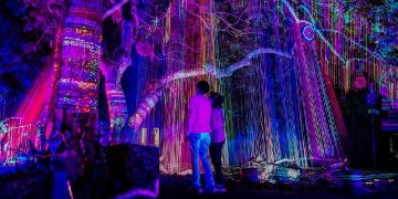 Hutan Menyala Djuanda Bandung via Tempo