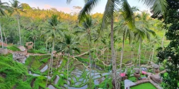 Alas Harum Agrotourism