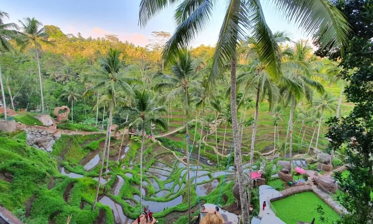 Alas Harum Agrotourism Tempat Wisata di Bali Tengah