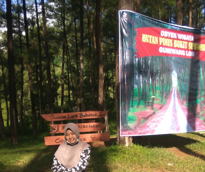 Hutan Pinus Bukit Suwondo Parto Parabola