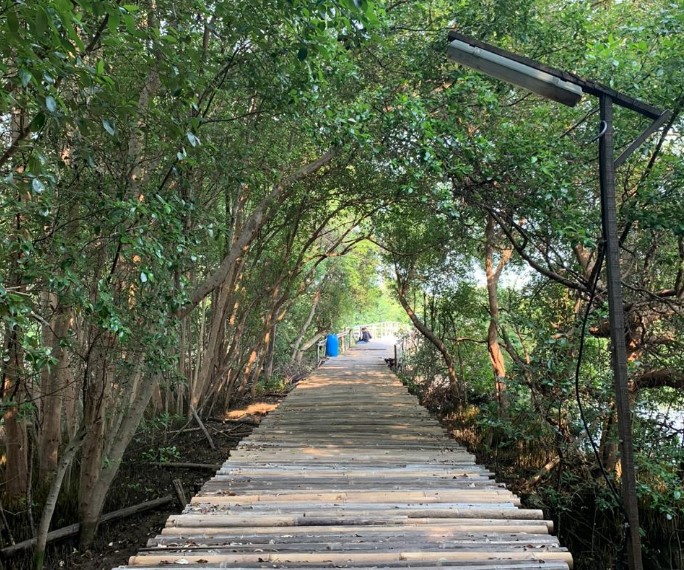 Kawasan Ekowisata Mangrove PIK Fadila Lestari