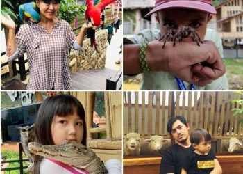 Photo Via epilngikngok, rifan_handiana, harli_toyota_ciled, arlindipertiwi