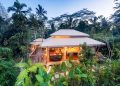 Resort Khusus Glamping di Indonesia, Menginap di Tengah Hutan!