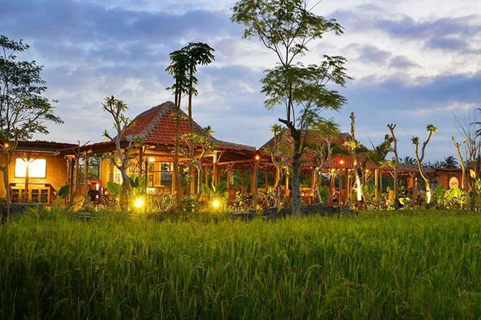 Warung Bebek Tepi Sawah 23 Tempat Wisata Kuliner di Bali Paling Legendaris & Terbaik, Enak