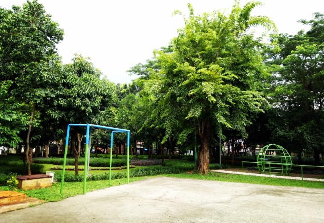 Taman Tangkuban Perahu pohon bumi