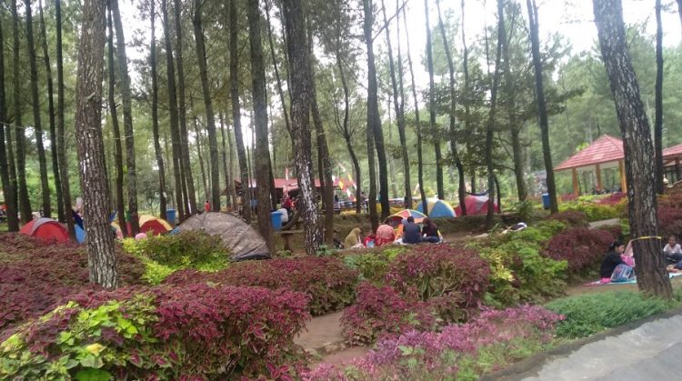 Camping Ground Wanawisata Bernah de Vallei Agus Iwan