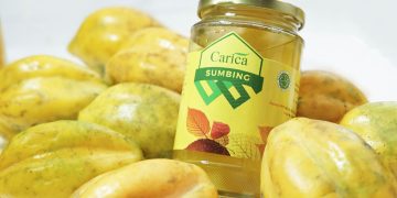 Carica Sumbing Segar