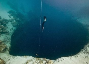 Ilustrasi Palung Weber via Kapalaku