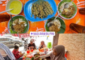 Nasi Ayam Bu Pini Random Reviewer