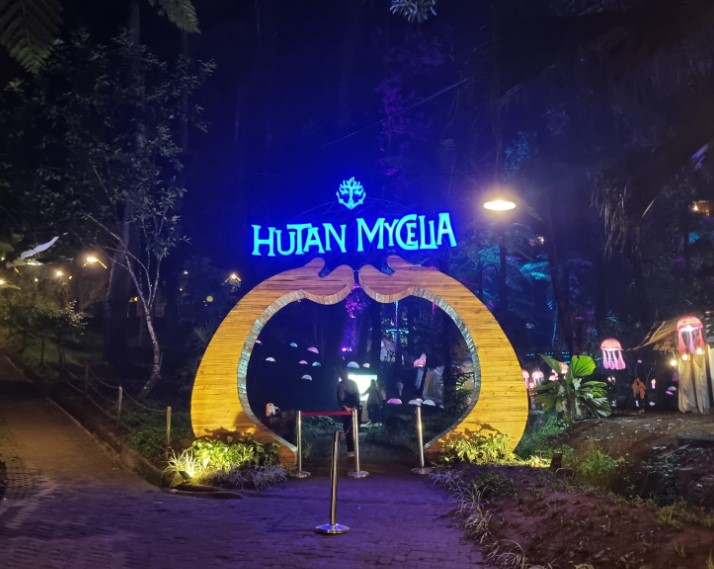 Hutan Mycelia Wahana Edukasi leinad ynned